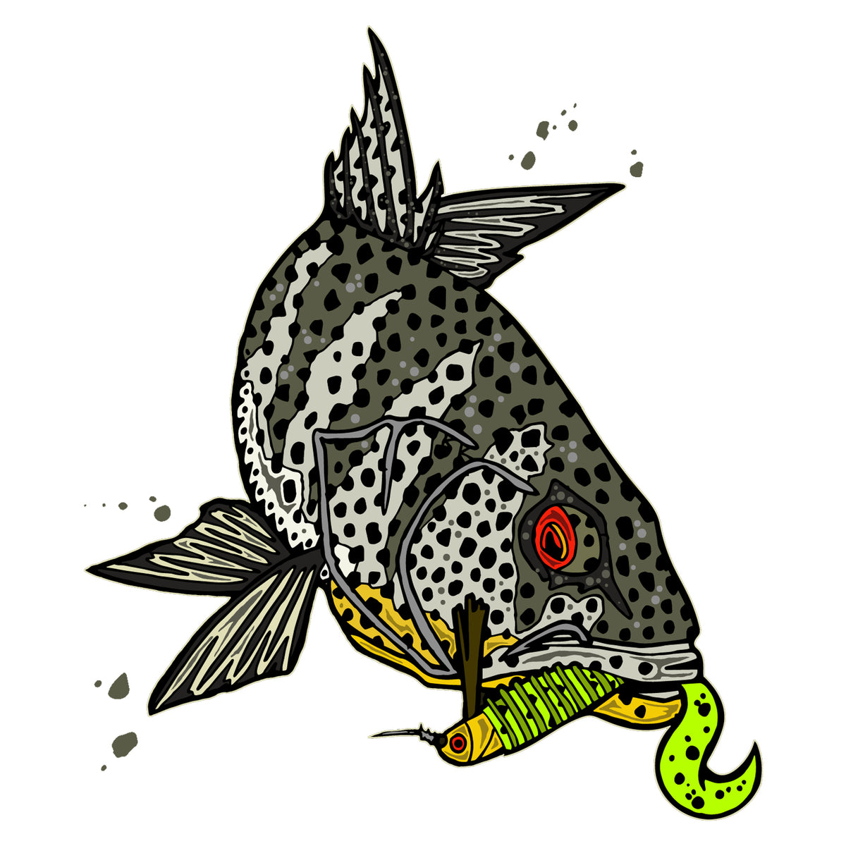 ABACHAR, SPOTTED BAY BASS - 6.5 STICKER